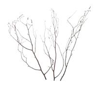 TEHAUX Branche Bouleau Décorative en Bois Naturel, Bouquet de Fleurs Décor Élégant 20 Tiges Solide pour Arrangements Floraux et Décor de Lieux D'événements