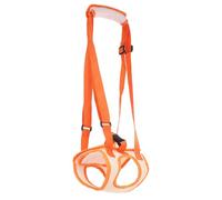 TEHAUX Ceinture Auxiliaire Réglable pour Chien Handicapé Soutien Postérieur Confortable Aide Rééducation et Contrôle Facile pour Animaux Âgés et Réhabilitation