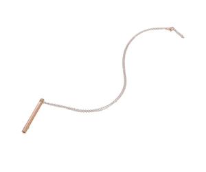 TEHAUX Collier Pendentif Urne Funéraire Cylindrique en Acier Inoxydable, Collier de Cendres Commémoratif Flacon Parfum Réutilisable, Finition Rose Doré, Bijou Souvenir pour Femmes