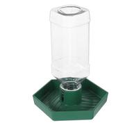 TEHAUX Distributeur d'eau pour Tortues Terrestres et Lézards, Antidébordement en ABS, Usage Intérieur, Design Vert