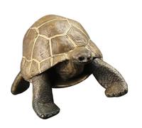 TEHAUX Figurine Tortue Réaliste PVC Modèle Educatif et Décoratif pour Garçon Fille Animal Terrestre
