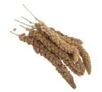 TEHAUX Friandises Naturelles Millet pour Perruches et Perroquets 500g, Récompense D'entraînement Offrant Une Expérience de Recherche Sauvage
