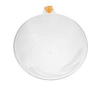 TEHAUX Lavabo Visage Petit Transparent en Plastique Bac à Shampoing Portable Multifonctionnel pour Soins Esthétiques et Usage Domestique Léger et Compact Institut de Beauté