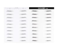 TEHAUX Lot De 10 Paires Autocollants Pour Sourcils 6d Effet Simulation Cheveux Imperméable Pour Homme Patch De Sourcil Artificiel Maquillage Naturel