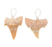 TEHAUX Lot de 2 Pendentifs Dent de Requin Homme Collier Décoration Cou Présent pour Ami Noël