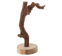 TEHAUX Perchoir en Bois pour Perroquet avec Base Stable, Support Multifonctionnel pour Oiseaux, pour Jouer et Interagir, Design Portable et Sécurisé Plusieurs Styles