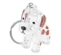 TEHAUX Porte-clés Souvenir Animaux Compagnie Collecteur Poils Chien Bouteille Plastique Transparent Petit Format Usage Quotidien Accessoires Souvenir Sentimental
