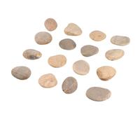 TEHAUX Set de Naturelles à Peindre pour Garçon Fille Galets Créatifs Diy avec Support pour Pratique Maison École