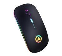 TEHAUX Souris sans Fil RGB Rechargeable Silencieuse Ergonomique pour Gaming Et Bureau, 4 Boutons Multifonctions, Distance 10 Mètres, Couleur Noir Mat Adaptée Aux Professionnels