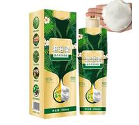 Teinture Capillaire Mousse | Shampooing Colorant Mousse 200ml,Crème Colorante Lavante Naturelle Gris Foncé Soin Capillaire Usage Domestique Femmes Hommes