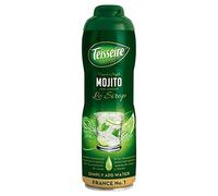 Teisseire Mojito 600Ml (Paquet de 2)