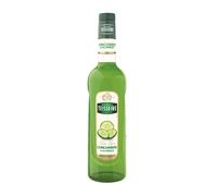 TEISSEIRE Sirop concombre - 70 cl