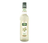 TEISSEIRE Sirop fleur de sureau - 70 cl