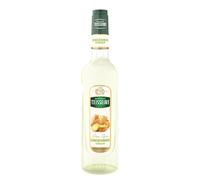 TEISSEIRE Sirop Gingembre 70cl