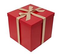 Tekhoho Boîte Cadeau Rouge 22x22x20,5cm, Boîtes Cadeaux Premium pour Cadeaux avec Couvercle et Ruban pour la Saint-Valentin, Noël, Mariage, Anniversaire, Emballage Cadeau, Doublure à Carreaux