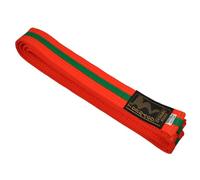 TEKKA BUDO Ceinture d'arts martiaux avec bandes centrales - Orange/vert - 220 cm - Bicolore - Ceinture Budo, Karaté, Judo, Taekwondo, Ju-Jutsu