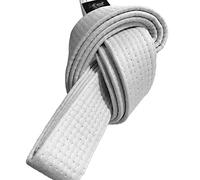 TEKKA BUDO Ceinture d'arts martiaux - Blanc - Longueur : 330 cm - Largeur : 4 cm - Karaté, Judo, Taekwondo, Jujutsu, Kickboxing, Ninjutsu, Sangle blanche
