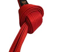 TEKKA BUDO Ceinture d'arts martiaux - Rouge - Longueur : 300 cm - Largeur : 4 cm - Karaté, Judo, Taekwondo, Jujutsu, Kickboxing, Ninjutsu, Sangle rouge