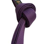 TEKKA BUDO Ceinture d'arts martiaux - Violet - Longueur 280 cm - Largeur : 4 cm - Karaté, Judo, Taekwondo, Jujutsu, Kickboxing, Ninjutsu, Sangle violette