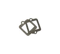 Teknix Joint Pipe/clapet Scooter Compatible avec Zip/Typhoon/Stalker/Runner/Fly 2t (x 2)