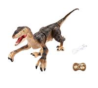 Télécommande Électrique Dinosaure Raptor Velociraptor, Jouets, Lumière De Marche, Modèle Animal, Jeux Pour Enfants, Cadeaux Pour Garçons