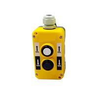 Télécommande industrielle bouton-poussoir interrupteur de commande de camion de grue commutateurs de commande ascenseur électrique COB-T381 COB-281 COB-481(COB-281)