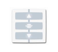 Télécommande - NICE - WM001G - 1 canal - Pile CR2032 - Objet connecté