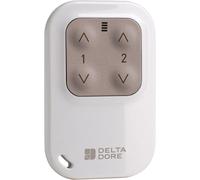 Télécommande porte-clé radio 2 voies pour éclairage ou volet roulant - Tyxia 1400 - DELTA DORE - 6351388