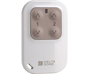 Télécommande porte-clé radio 2 voies pour éclairage ou volet roulant - Tyxia 1400 - DELTA DORE - 6351388