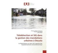 Teledetection et SIG dans la gestion des inondations urbaines a Douala De l'autobiographique en litterature caribeenne francophone. TOME I - Philippes Mbevo Fendoung - Universitaires Europeennes - bro