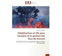 Télédétection et sig pour l'analyse et la gestion des feux de brousse Nguedjo-P (Auteur)