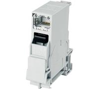 Telegärtner 100007435 100007435 Connecteur RJ45 de rail porteur STX gris