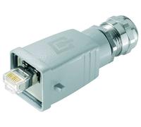 Telegärtner 100007467 Connecteur pour capteurs/actionneurs Fiche mâle RJ45 1 pc(s)