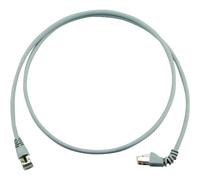 Telegärtner 100008305 RJ45 Câble réseau, câble patch CAT 6a S/FTP 2.00 m gris