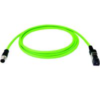 Telegärtner 100017282 Jonction M12 x 1 mâle 2 m Nombre de pôles: 4 1 pc(s)