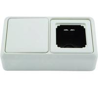 Telegärtner 100021378 Prise fibre optique (FO) blanc-alpin 1 pc(s)