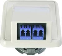 Telegärtner 100022459 Prise fibre optique (FO) blanc-alpin 1 pc(s)