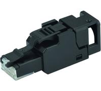 Telegärtner 100023052 Connecteur RJ45 non blindé et assemblable sur le terrain UFP8 T568B CAT.6A(IEC), AWG24/1-AWG23/1, AWG27/7-AWG23/7 100023052 mâle 1 pc(s)
