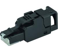 Telegärtner 100023052 Connecteur RJ45 non blindé et assemblable sur le terrain UFP8 T568B CAT.6A(IEC), AWG24/1-AWG23/1