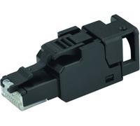 Telegärtner 100023053 Connecteur RJ45 non blindé et assemblable sur le terrain UFP8 T568 A CAT.6A(IEC), AWG23/1-AWG22/1