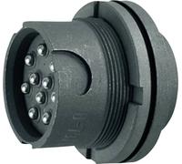 Telegärtner 100023271 100023271 Connecteur NF Chassis femelle droite 1 pc(s)