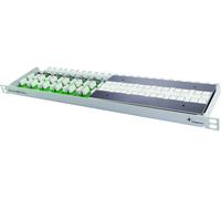 Telegärtner Bloc de raccordement Multi 6x VM 8-8 CAT 7 montable sur mur Gris clair RAL 7035