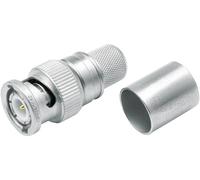 Telegärtner 100023319 100023319 Connecteur BNC mâle, droit 50 Ω 1 pc(s)