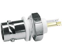 Telegärtner 100023370 100023370 Connecteur BNC embase femelle, verticale 50 Ω 1 pc(s)