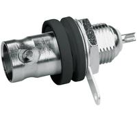 Telegärtner 100023405 100023405 Connecteur BNC embase femelle, verticale 50 Ω 1 pc(s)