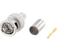 Telegärtner 100023475 100023475 Connecteur HDTV-BNC mâle, droit 75 Ω 1 pc(s)