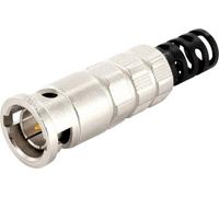 Telegärtner 100023487 100023487 Connecteur HDTV-BNC mâle, droit 75 Ω 1 pc(s)