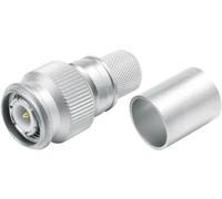 Telegärtner 100023714 100023714 Connecteur TNC mâle, droit 50 Ω 1 pc(s)