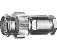 Telegärtner 100023816 100023816 Connecteur TNC mâle, droit 75 Ω 1 pc(s)