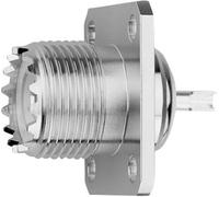 Telegärtner 100024344 100024344 Connecteur UHF embase femelle 50 Ω 1 pc(s)